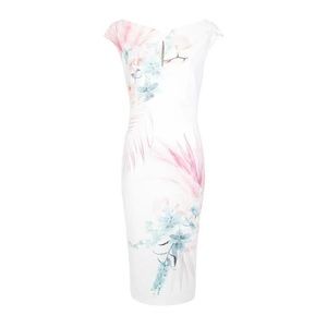 Worn once size 4 Ted baker doozie serendipity pencil dress